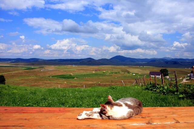 Дома для отпуска Family Farm Bungalow Жабляк-13