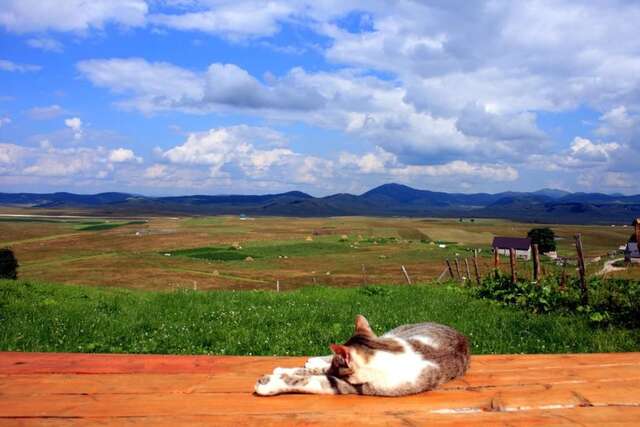 Дома для отпуска Family Farm Bungalow Жабляк-32